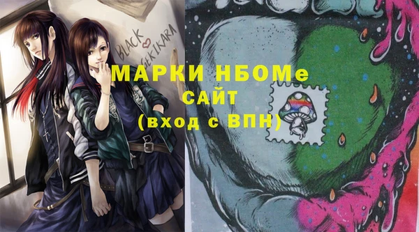 СК Ельня