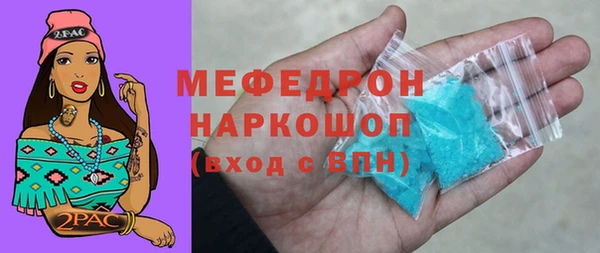 СК Ельня