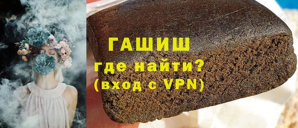 СК Ельня