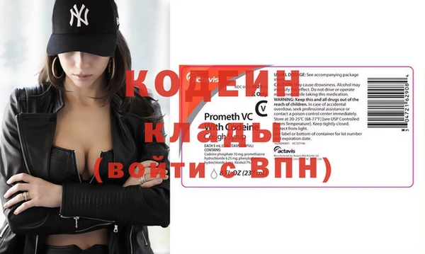 СК Ельня