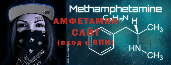 СК Ельня