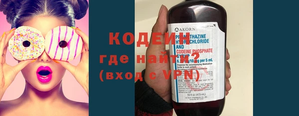 СК Ельня