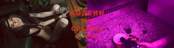 СК Ельня
