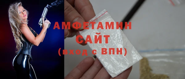 СК Ельня
