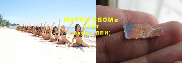 СК Ельня