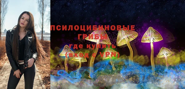 СК Ельня