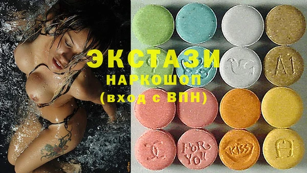СК Ельня