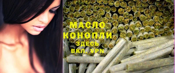 СК Ельня