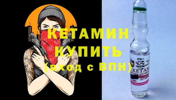 СК Ельня