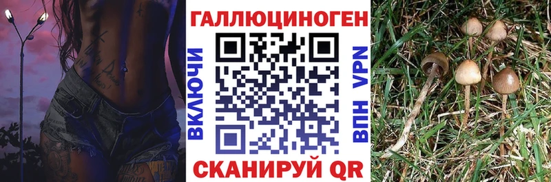 цены наркотик  Заволжье  Галлюциногенные грибы GOLDEN TEACHER 